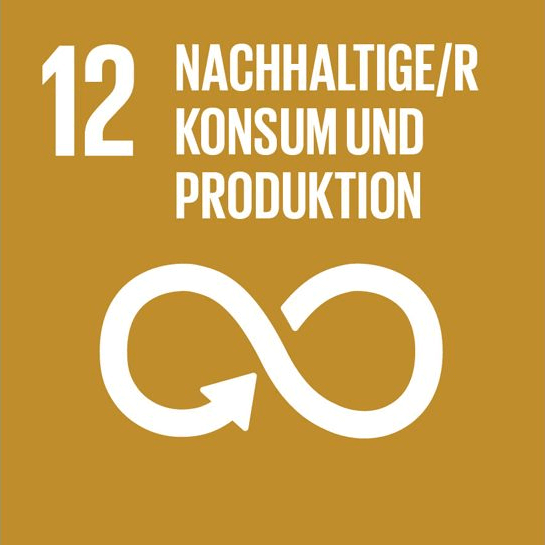 Symbol des UN-Entwicklungsziels Nr. 12